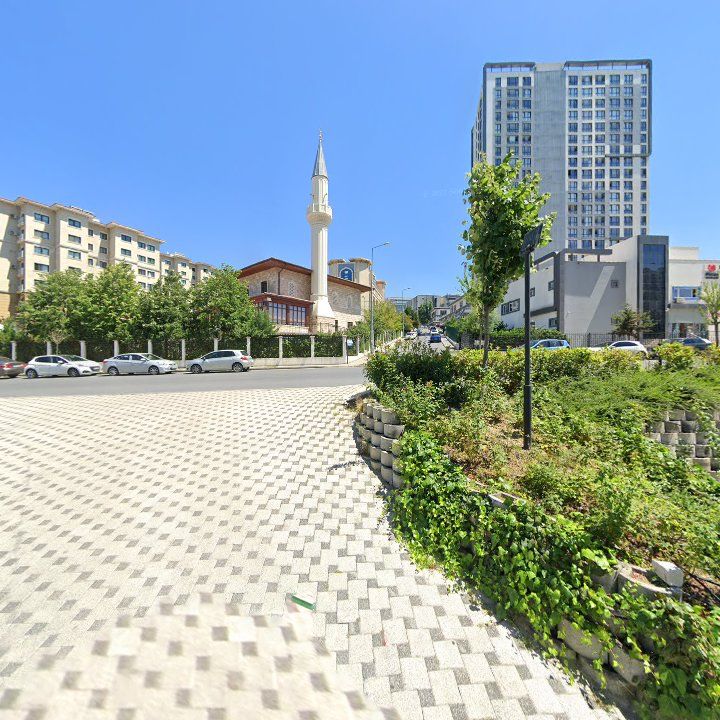 Fotoğraf 10