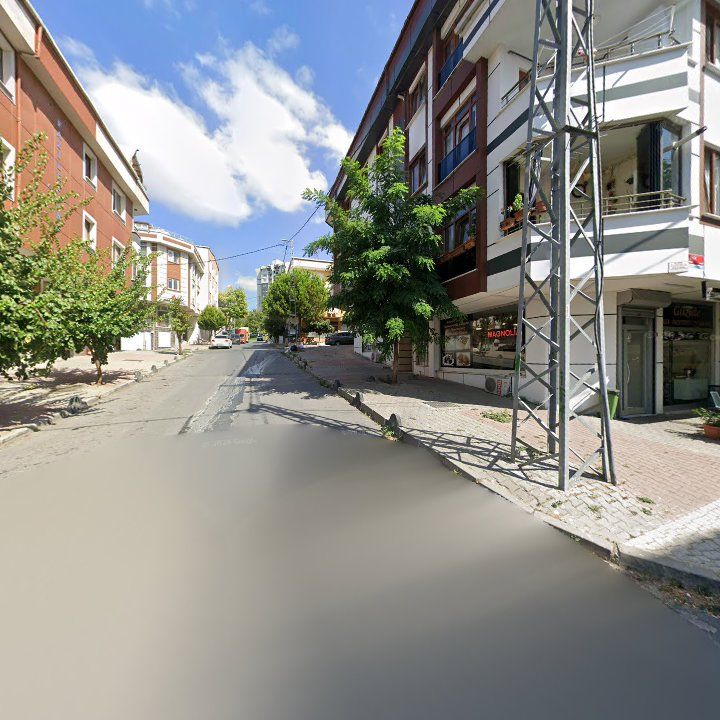 Fotoğraf 19