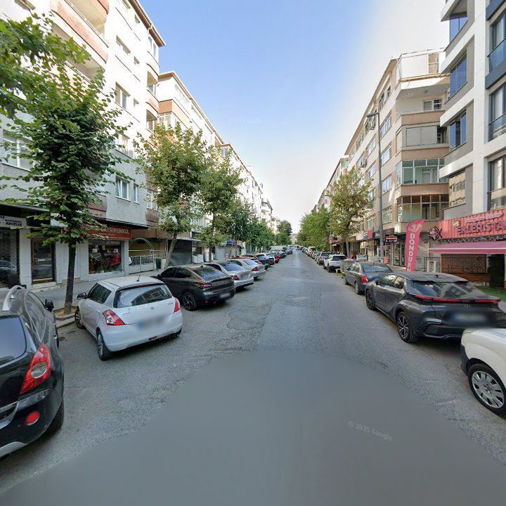 Fotoğraf 10