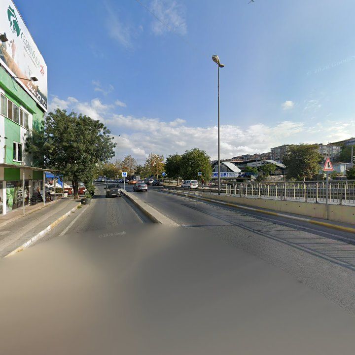 Fotoğraf 13