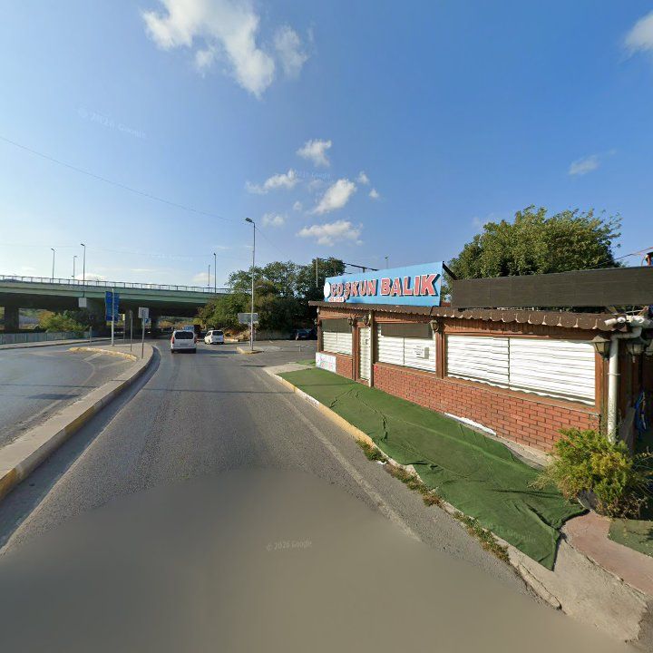 Fotoğraf 11