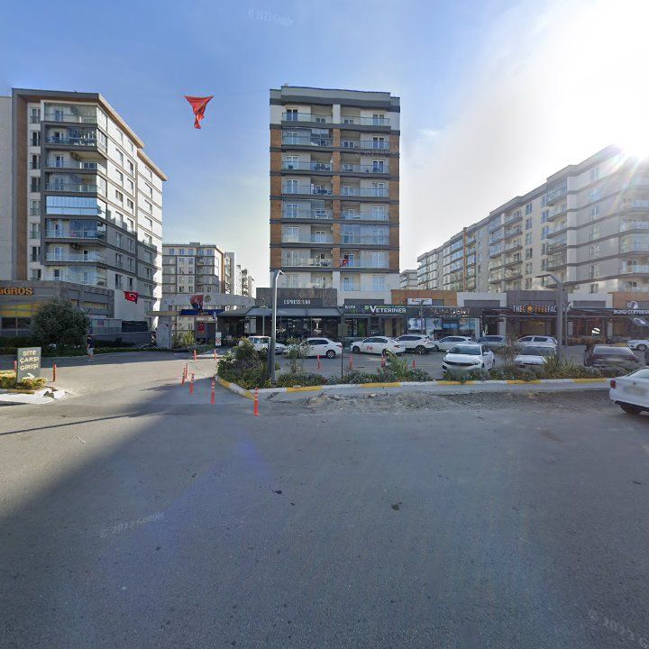 Fotoğraf 8