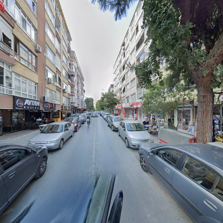 Fotoğraf 9