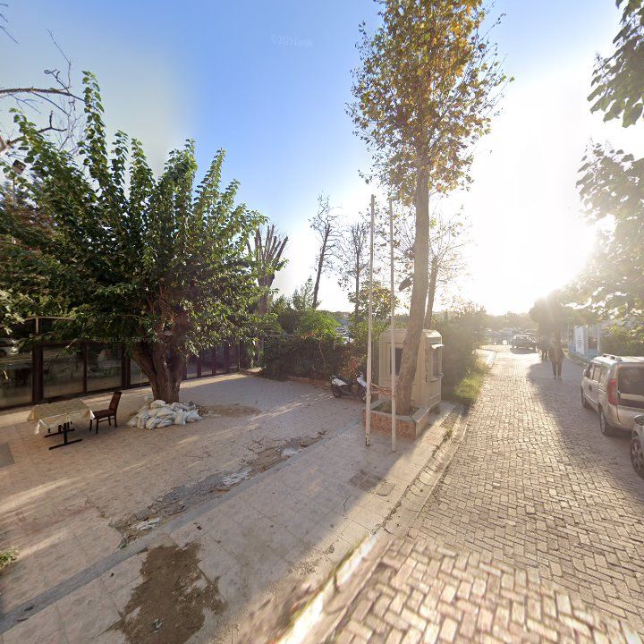 Fotoğraf 9