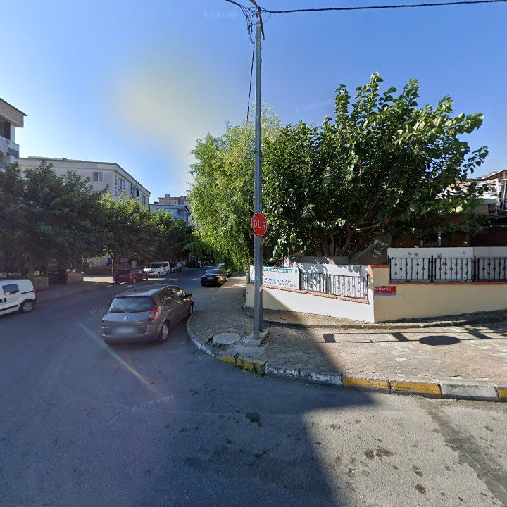 Fotoğraf 8