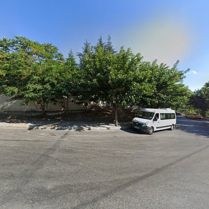 Fotoğraf 10
