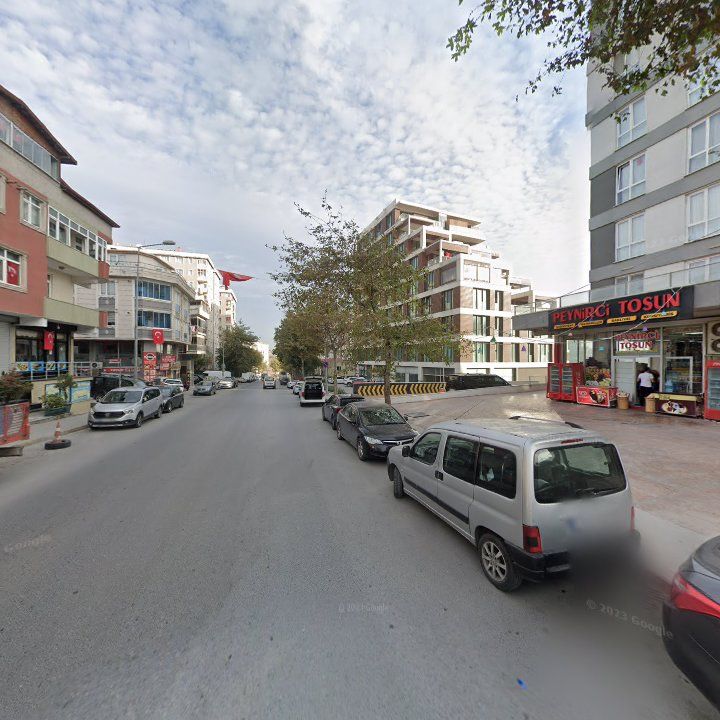Fotoğraf 9
