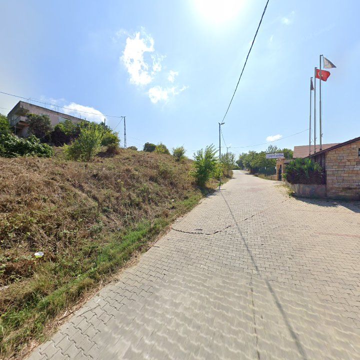 Fotoğraf 9