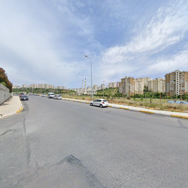Fotoğraf 7