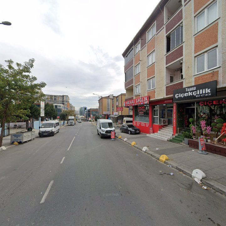 Fotoğraf 8