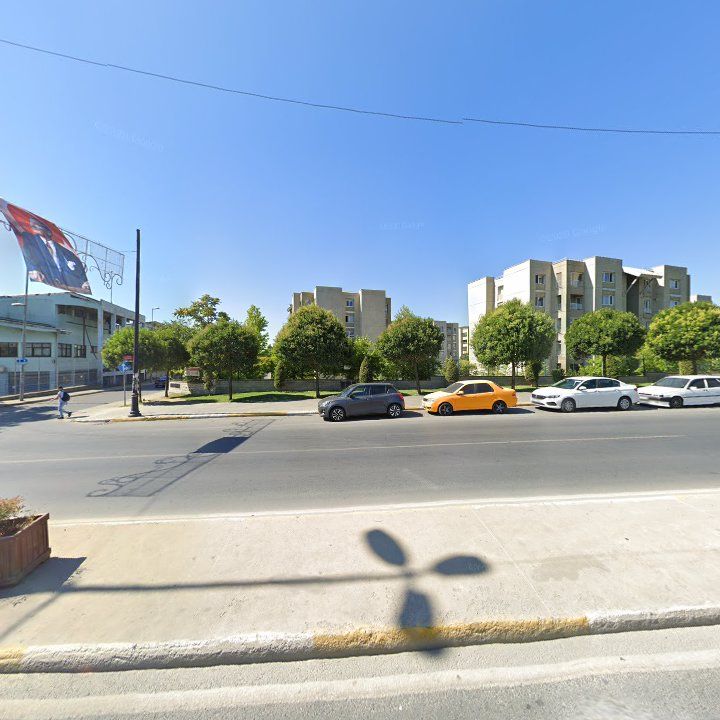 Fotoğraf 12