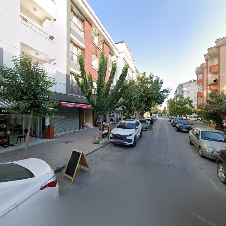 Fotoğraf 6