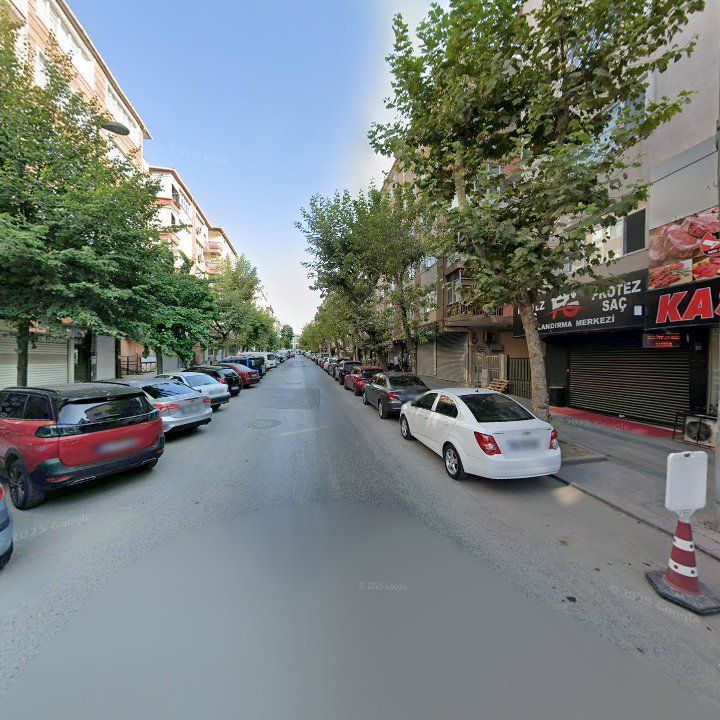 Fotoğraf 9