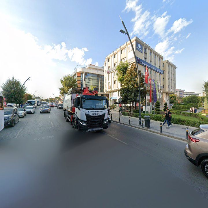 Fotoğraf 12