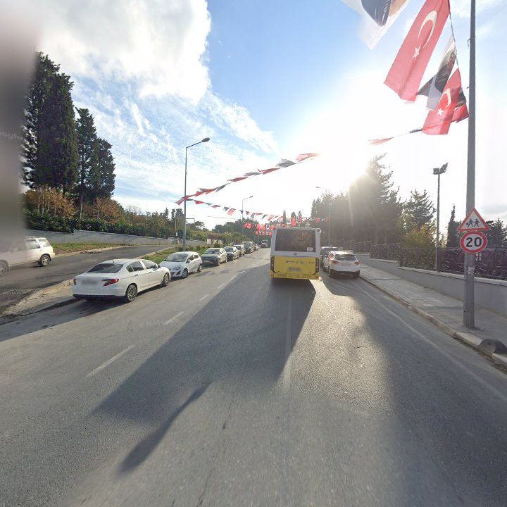 Fotoğraf 10