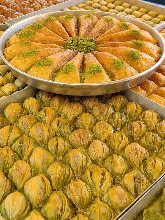Fotoğraf 11