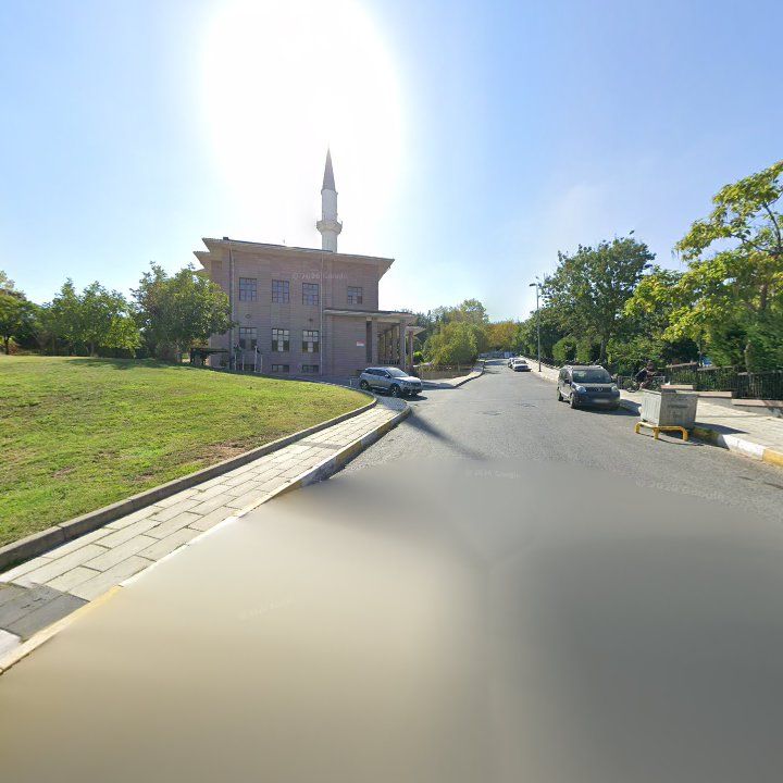 Fotoğraf 12