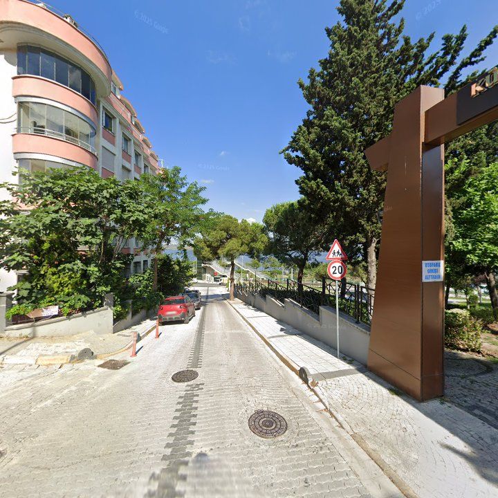 Fotoğraf 13