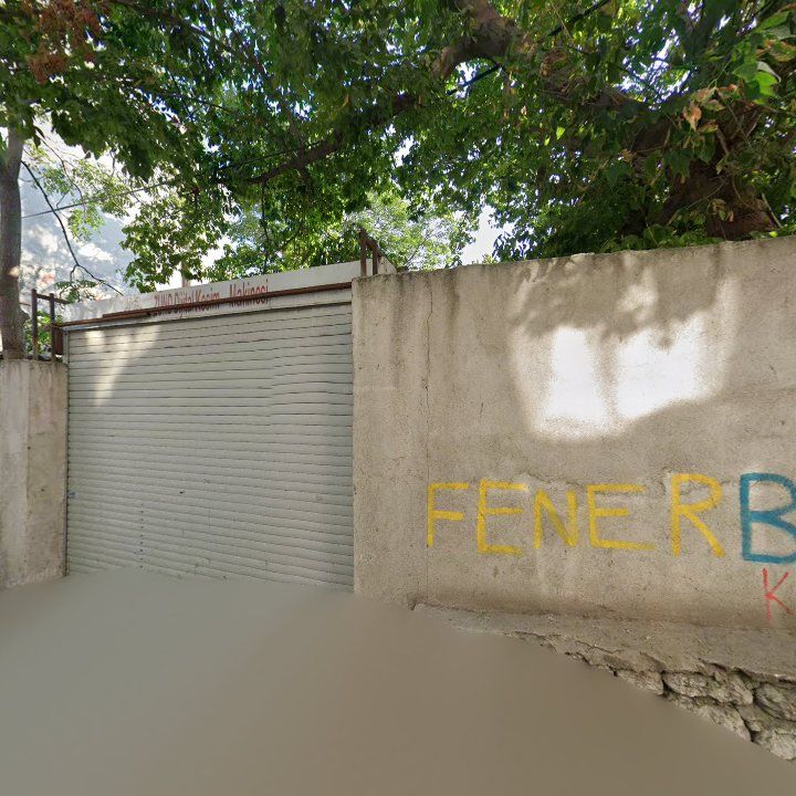 Fotoğraf 9