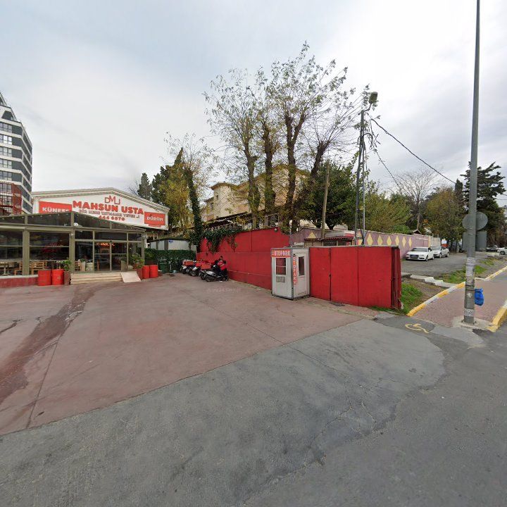 Fotoğraf 11