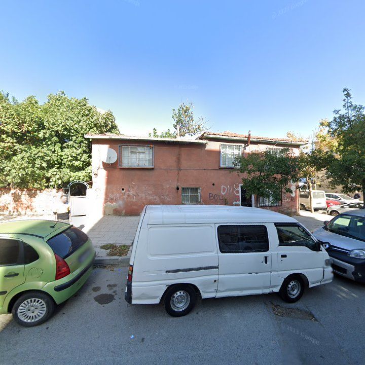 Fotoğraf 7