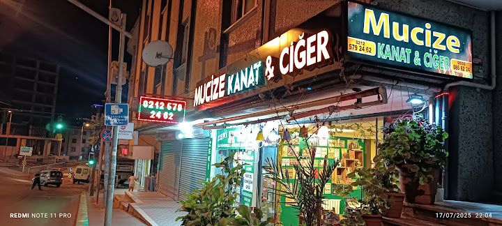 Mucize Kanat & Ciğer