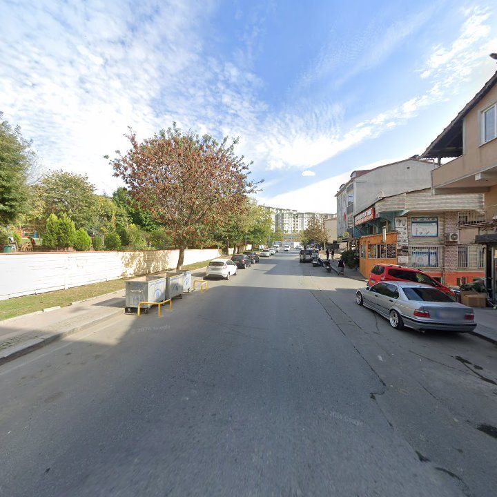 Fotoğraf 8