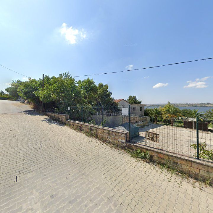 Fotoğraf 11
