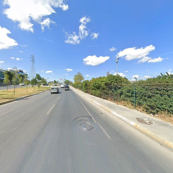 Fotoğraf 12