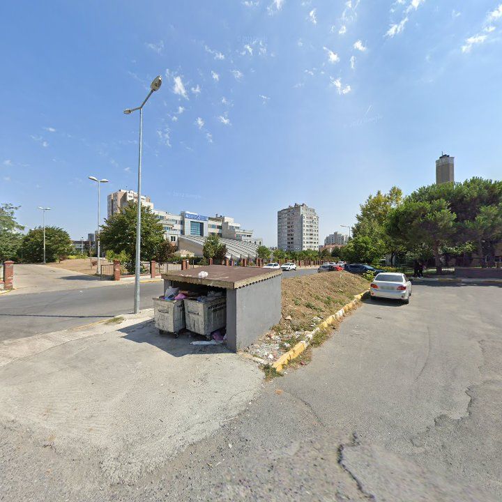 Fotoğraf 11