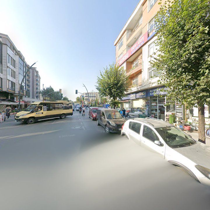 Fotoğraf 12
