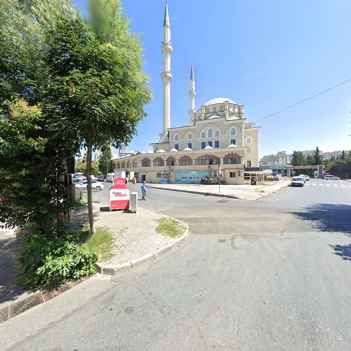 Fotoğraf 9