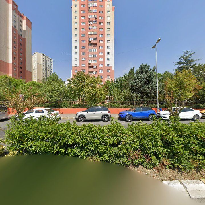 Fotoğraf 13