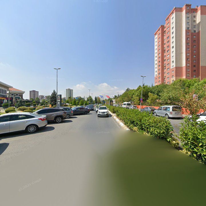 Fotoğraf 12