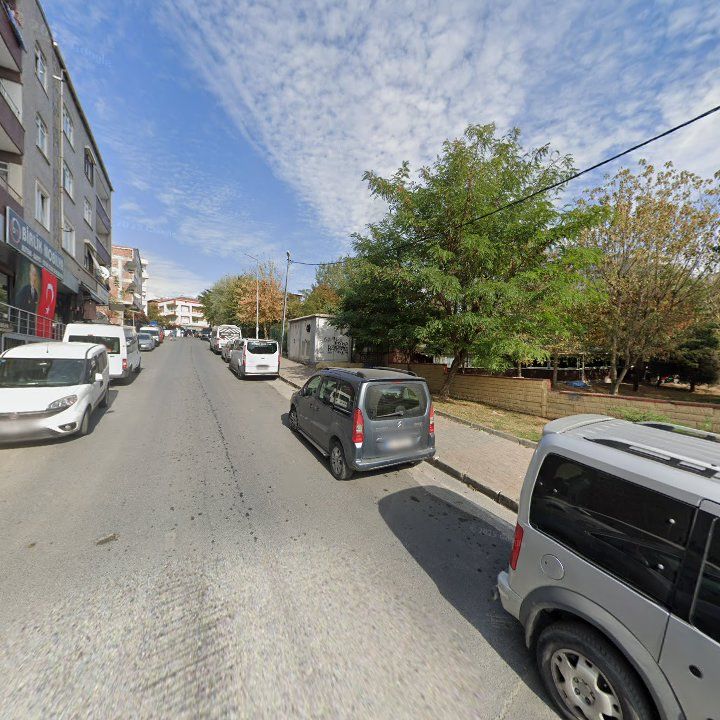 Fotoğraf 9