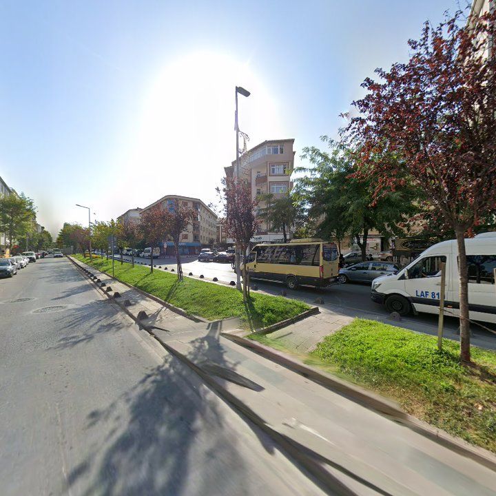 Fotoğraf 12