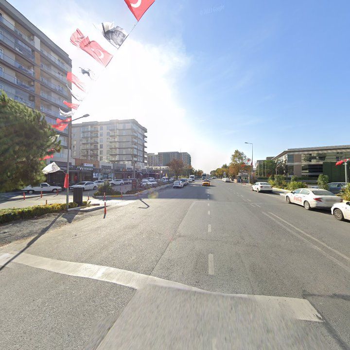 Fotoğraf 8