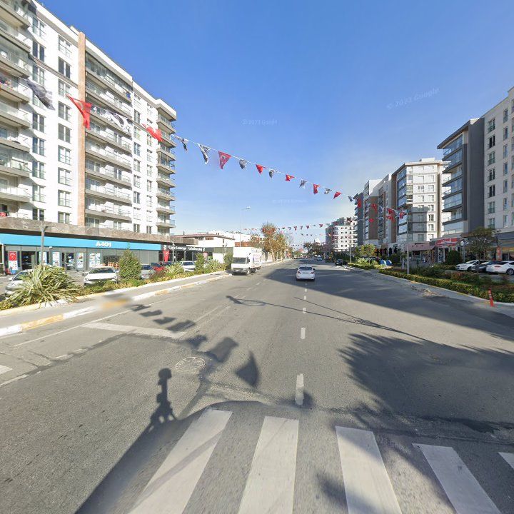 Fotoğraf 6