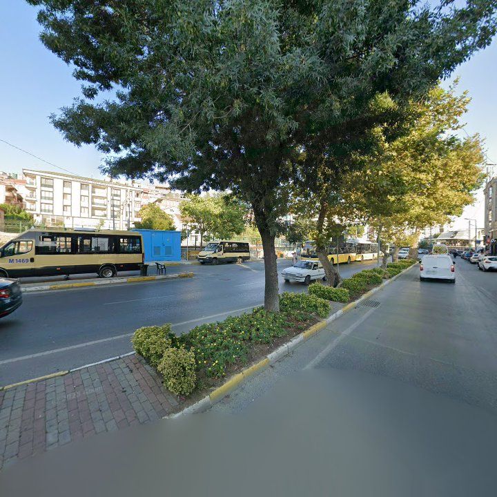 Fotoğraf 11