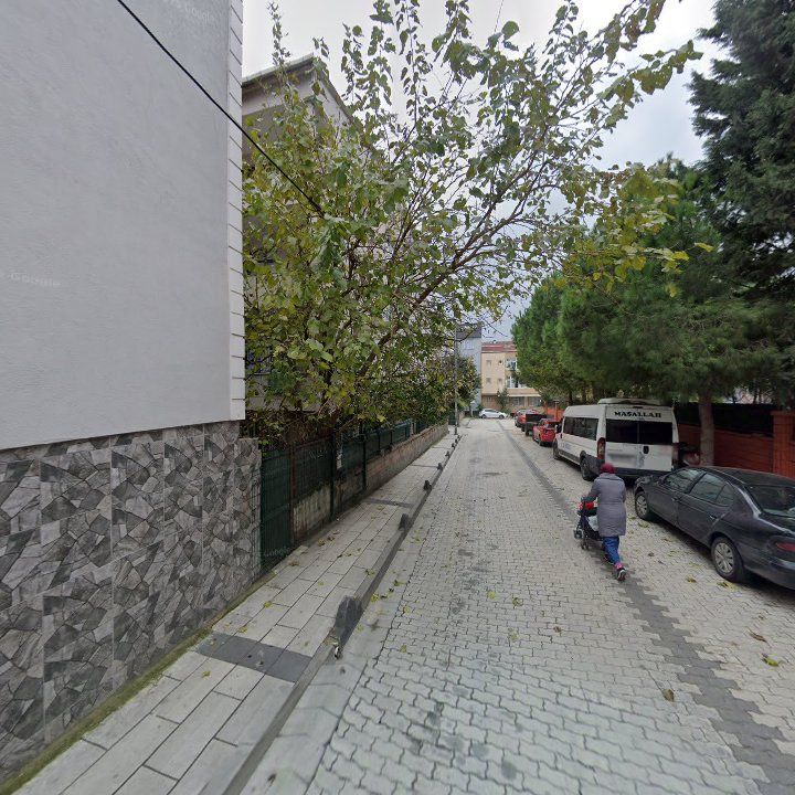 Fotoğraf 6