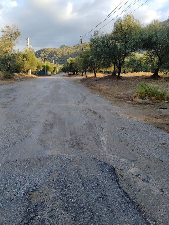 Yorum fotoğrafı 3