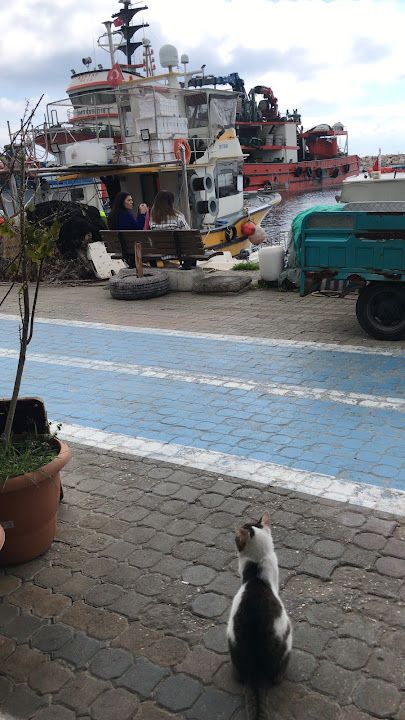 Yorum fotoğrafı 4