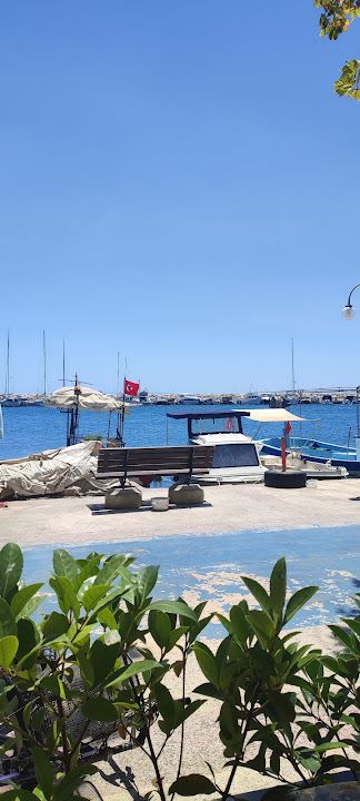 Yorum fotoğrafı 4