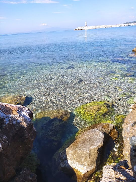 Yorum fotoğrafı 4
