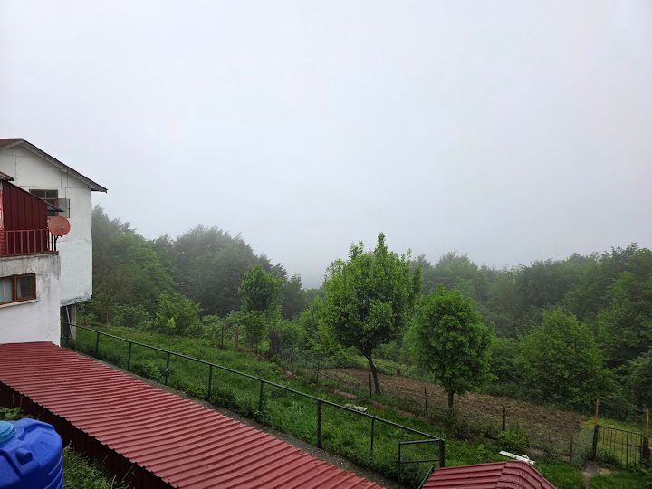 Fotoğraf 24