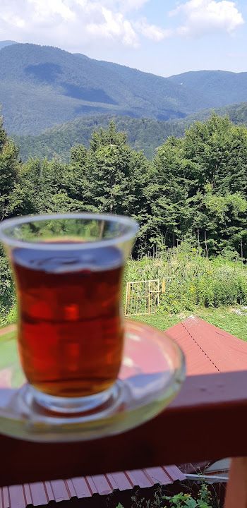 Fotoğraf 23