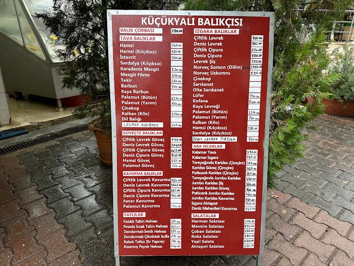 Fotoğraf 41