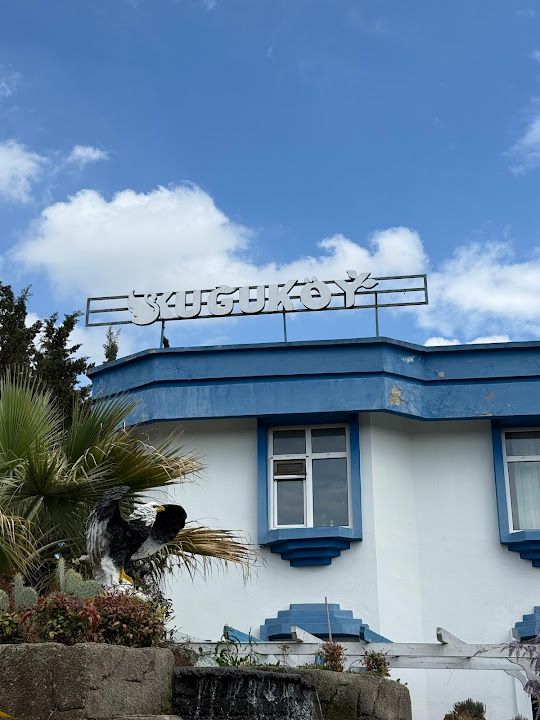 Fotoğraf 29