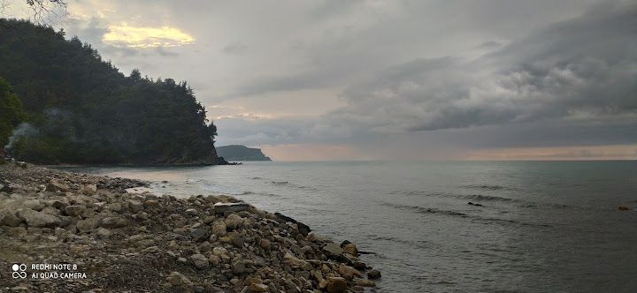 Yorum fotoğrafı 4
