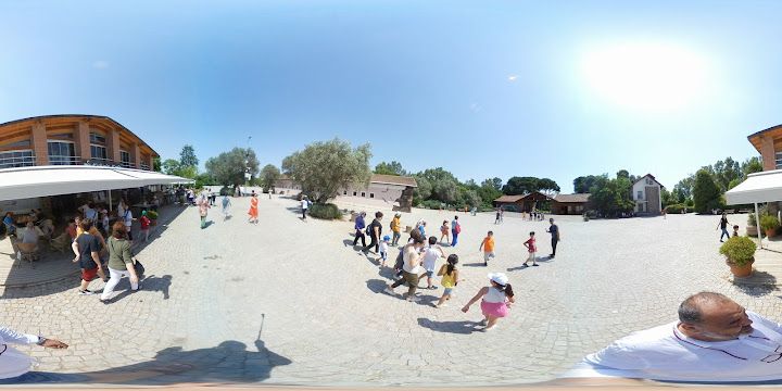 Fotoğraf 14
